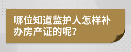 哪位知道监护人怎样补办房产证的呢？