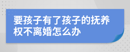 要孩子有了孩子的抚养权不离婚怎么办