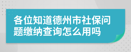 各位知道德州市社保问题缴纳查询怎么用吗