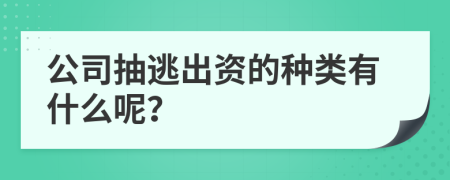 公司抽逃出资的种类有什么呢？