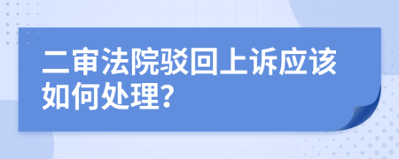 二审法院驳回上诉应该如何处理？