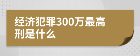 经济犯罪300万最高刑是什么