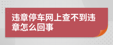 违章停车网上查不到违章怎么回事