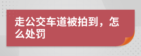 走公交车道被拍到，怎么处罚