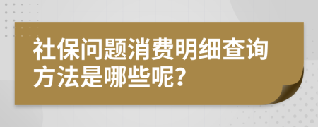 社保问题消费明细查询方法是哪些呢？