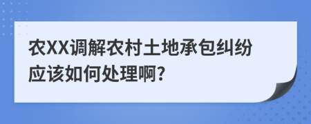 农XX调解农村土地承包纠纷应该如何处理啊?