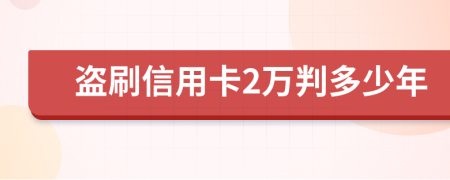 盗刷信用卡2万判多少年