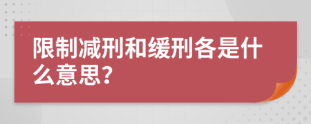 限制减刑和缓刑各是什么意思？