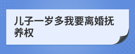 儿子一岁多我要离婚抚养权