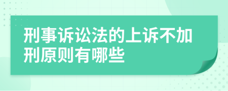 刑事诉讼法的上诉不加刑原则有哪些