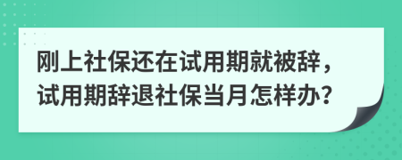 刚上社保还在试用期就被辞，试用期辞退社保当月怎样办？