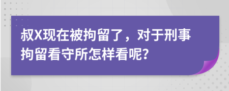 叔X现在被拘留了，对于刑事拘留看守所怎样看呢？