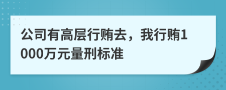 公司有高层行贿去，我行贿1000万元量刑标准