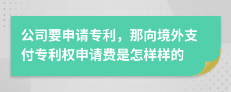 公司要申请专利，那向境外支付专利权申请费是怎样样的