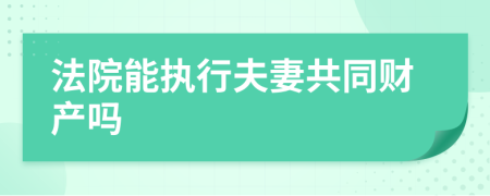 法院能执行夫妻共同财产吗