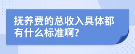 抚养费的总收入具体都有什么标准啊？