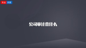 公司审计查什么