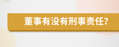 董事有没有刑事责任？