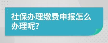 社保办理缴费申报怎么办理呢？