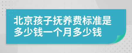 北京孩子抚养费标准是多少钱一个月多少钱