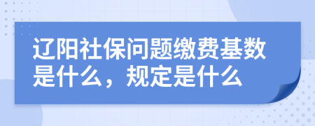 辽阳社保问题缴费基数是什么，规定是什么