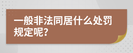 一般非法同居什么处罚规定呢？