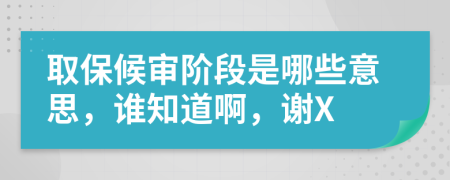 取保候审阶段是哪些意思，谁知道啊，谢X