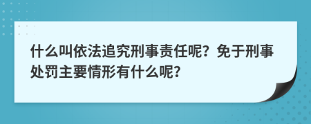 什么叫依法追究刑事责任呢？免于刑事处罚主要情形有什么呢？