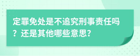 定罪免处是不追究刑事责任吗？还是其他哪些意思？