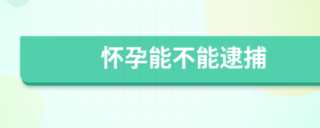 怀孕能不能逮捕