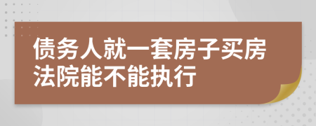 债务人就一套房子买房法院能不能执行