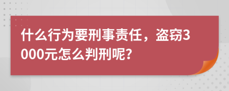 什么行为要刑事责任，盗窃3000元怎么判刑呢？