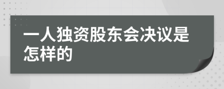 一人独资股东会决议是怎样的