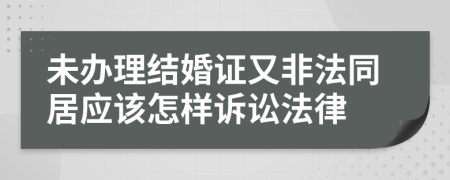 未办理结婚证又非法同居应该怎样诉讼法律