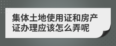 集体土地使用证和房产证办理应该怎么弄呢