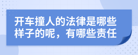 开车撞人的法律是哪些样子的呢，有哪些责任