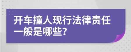 开车撞人现行法律责任一般是哪些？