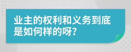 业主的权利和义务到底是如何样的呀？