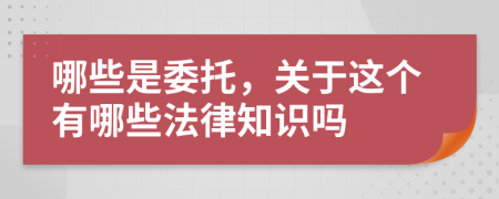 哪些是委托，关于这个有哪些法律知识吗