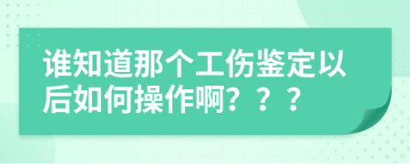 谁知道那个工伤鉴定以后如何操作啊？？？