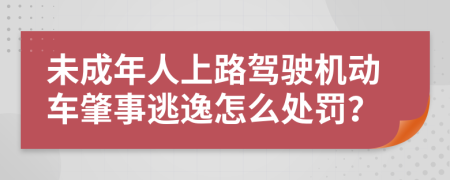 未成年人上路驾驶机动车肇事逃逸怎么处罚？