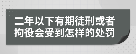 二年以下有期徒刑或者拘役会受到怎样的处罚