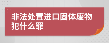 非法处置进口固体废物犯什么罪