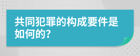 共同犯罪的构成要件是如何的？