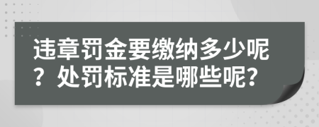 违章罚金要缴纳多少呢？处罚标准是哪些呢？