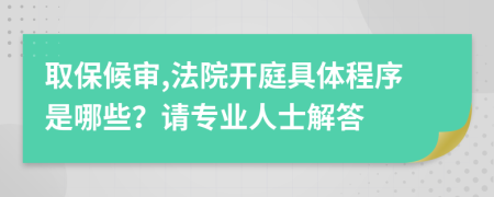 取保候审,法院开庭具体程序是哪些？请专业人士解答