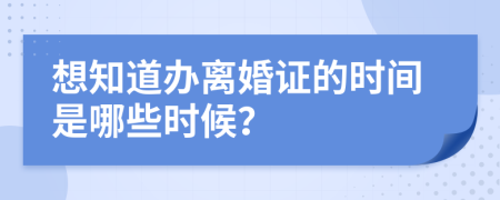 想知道办离婚证的时间是哪些时候？