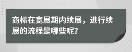 商标在宽展期内续展，进行续展的流程是哪些呢？