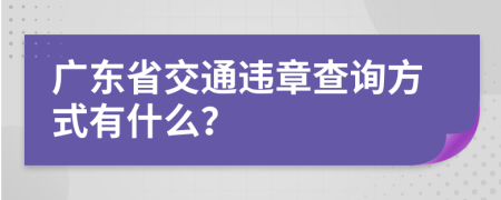 广东省交通违章查询方式有什么？