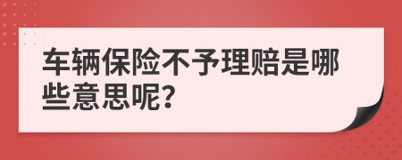 车辆保险不予理赔是哪些意思呢？